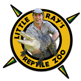 Little Ray Home Page Little Rays Reptile ZooLittle Rays Reptile Zoo