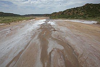 Little Red River (Texas) httpsuploadwikimediaorgwikipediacommonsthu