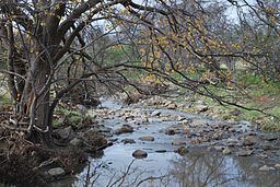 Little River (Greater Geelong) httpsuploadwikimediaorgwikipediacommonsthu