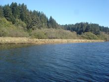Little River (Humboldt County) httpsuploadwikimediaorgwikipediacommonsthu