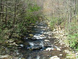 Little River (Tennessee) httpsuploadwikimediaorgwikipediacommonsthu
