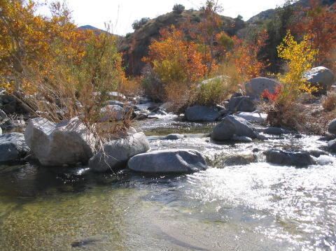 Little Rock Creek (Los Angeles County, California) wwwcoyleswebcomImageExpertLittlerockCreekima