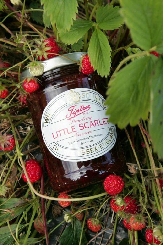 Little Scarlet Little Scarlet Strawberry Gin Liqueur review on Gin Foundry
