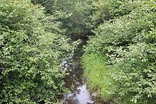 Little Shickshinny Creek httpsuploadwikimediaorgwikipediacommonsthu