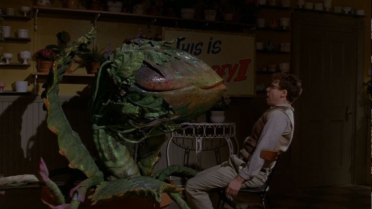 Little Shop of Horrors (1986 film) Movie Review Little Shop of Horrors 1986