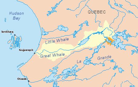 Little Whale River