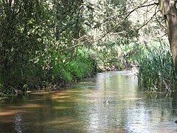 Little Yarra River httpsuploadwikimediaorgwikipediacommonsthu