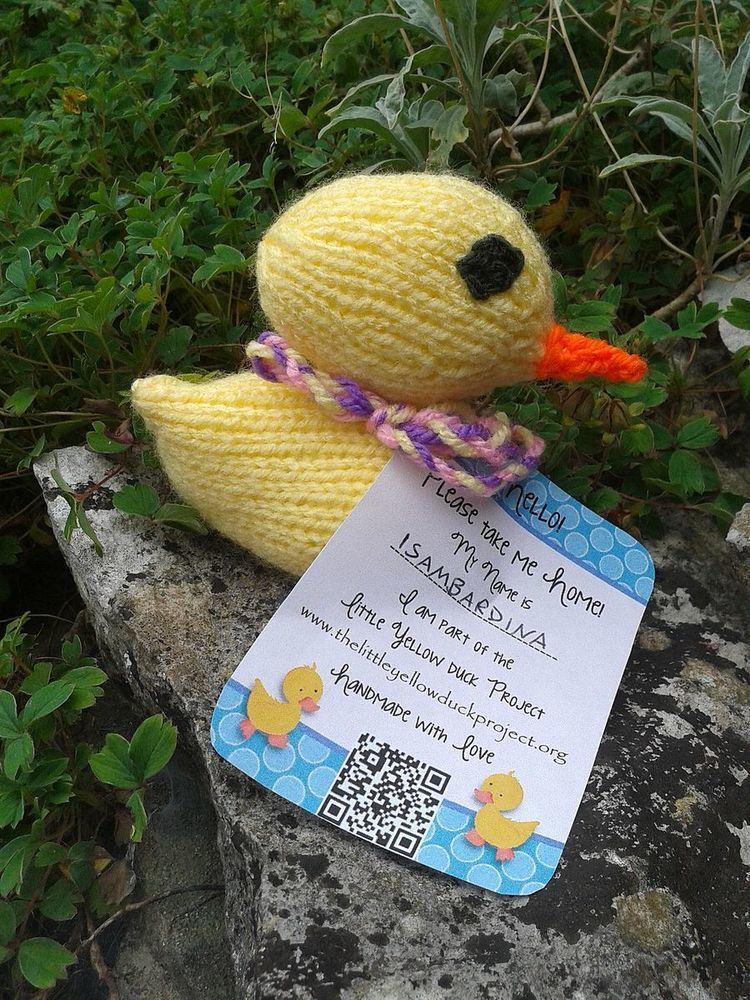 Little Yellow Duck Project