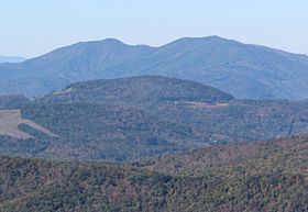 Little Yellow Mountain (North Carolina) httpsuploadwikimediaorgwikipediacommonsthu