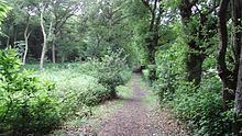 Littleheath Woods httpsuploadwikimediaorgwikipediacommonsthu