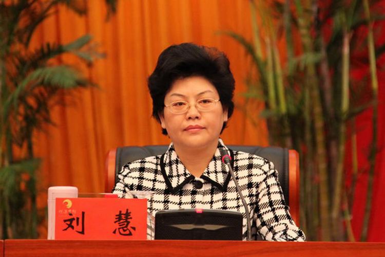 Liu Hui (politician) Opinions on Liu Hui politician