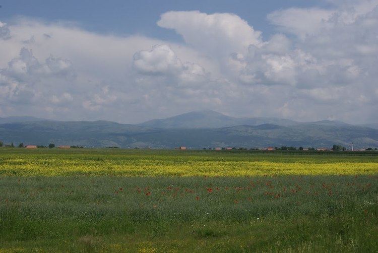 Livanjsko field Panoramio Photo of Livanjsko Polje prema Cincaru Livno Fields