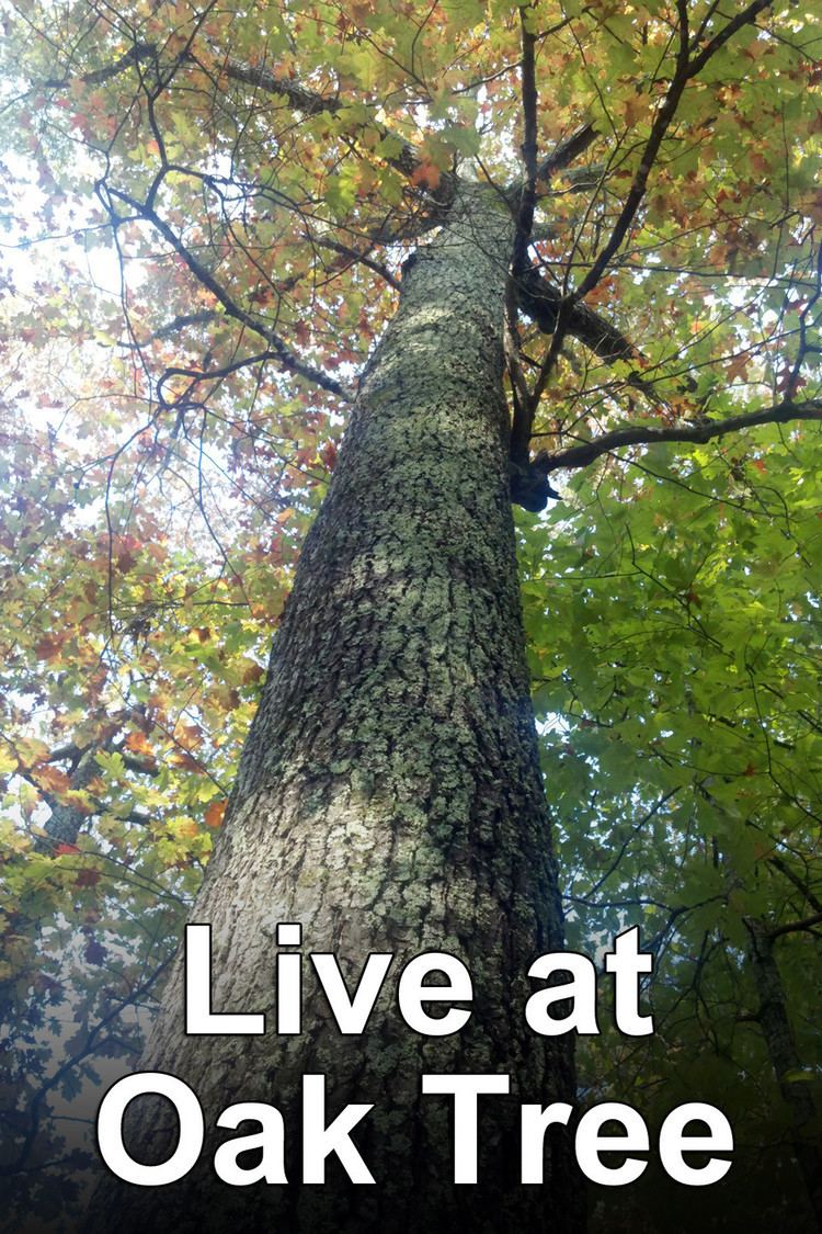 Live at Oak Tree: The Series wwwgstaticcomtvthumbtvbanners3599214p359921