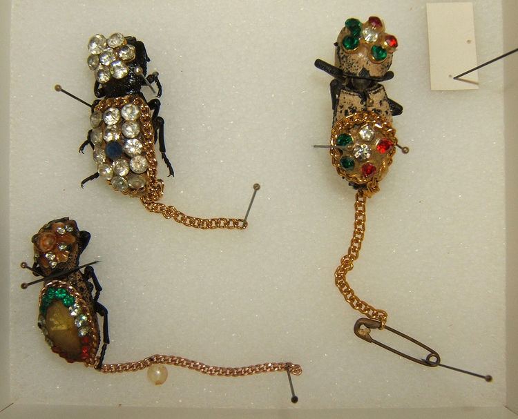 Live insect jewelry
