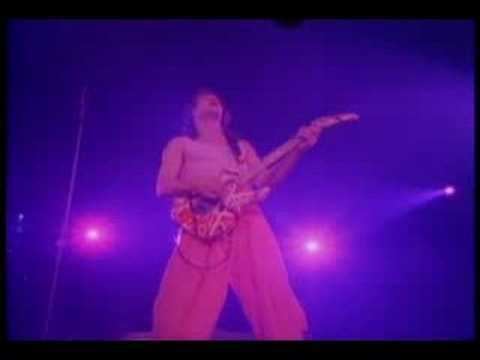 Live Without a Net (Van Halen video) Eddie Van Halen Solo Live Without a Net Eruption YouTube