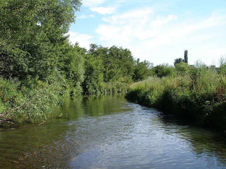 Livenka River