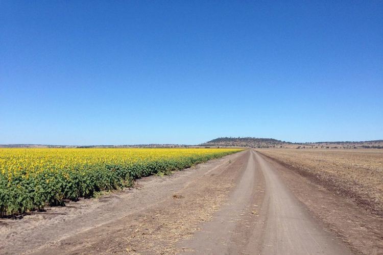 Liverpool Plains Call for update on Liverpool Plains mine excise discussions ABC