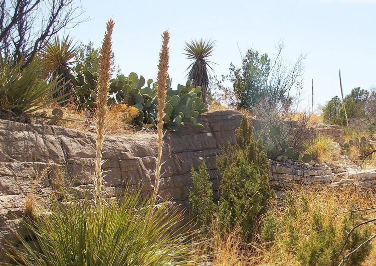 Living Desert Zoo and Gardens State Park