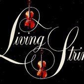 Living Strings httpslastfmimg2akamaizednetiuavatar170sf