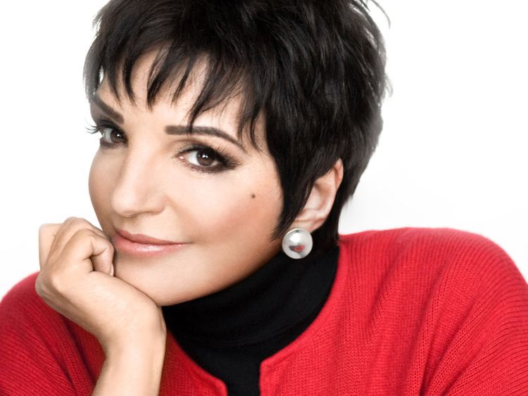 Liza Minnelli Streisand Minnelli and Garland Pop Icons Gay History