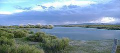 Llancanelo Lake httpsuploadwikimediaorgwikipediacommonsthu