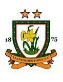 Llanidloes Town F.C. httpsuploadwikimediaorgwikipediacommonsbb