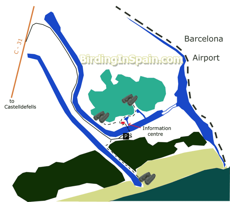 Llobregat Delta Birding in the Llobregat Delta and Garraf Massif Sites and
