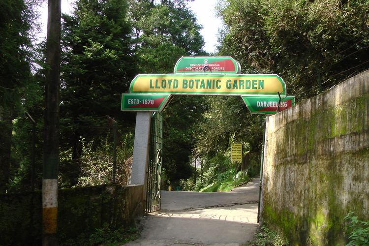 Lloyd's Botanical Garden wwwdowntheroadorgIndiaNepalSubcontinentimage