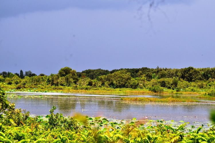 Láng Sen Wetland Reserve Lng Sen Long An thnh khu Ramsar th by ca Vit Nam