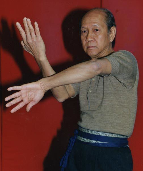 Lo Man Kam (martial artist) Special Interview Sifu Lo Man Kam in Taiwan New Hero