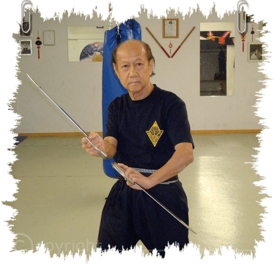 Lo Man Kam (martial artist) Johnny Eisenreich Martial Art Suisse