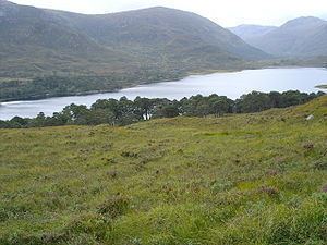 Loch Affric httpsuploadwikimediaorgwikipediacommonsthu