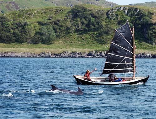 Loch Craignish wwwhebrideanwildcoukimageshebwilddolphinsjpg