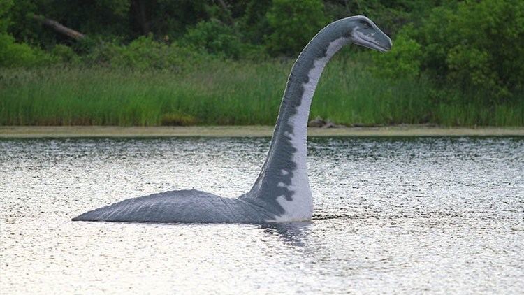 Loch Ness Monster Google Has Found The Loch Ness Monster YouTube