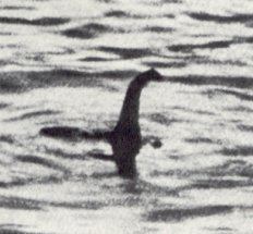 Loch Ness Monster httpsuploadwikimediaorgwikipediaen55eHoa