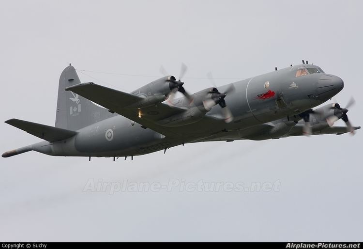 Lockheed CP-140 Aurora Lockheed CP140 Aurora Photos AirplanePicturesnet