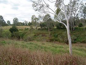 Lockyer Creek httpsuploadwikimediaorgwikipediacommonsthu