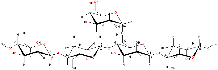 Locust bean gum Locust bean gum