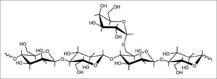 Locust bean gum Locust bean gum Exploring its potential for biopharmaceutical