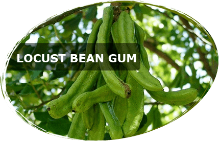 Locust bean gum Locust Bean Gum Powder Altrafine Gums