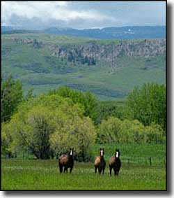 Lodge Grass, Montana wwwsangrescomdimagesmontanaplacesbighornco