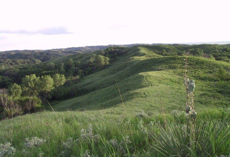 Loess Hills Loess Hills Region of Iowa Brian J Wilsey Current Projects