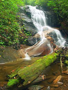 Log Hollow Falls httpsuploadwikimediaorgwikipediacommonsthu