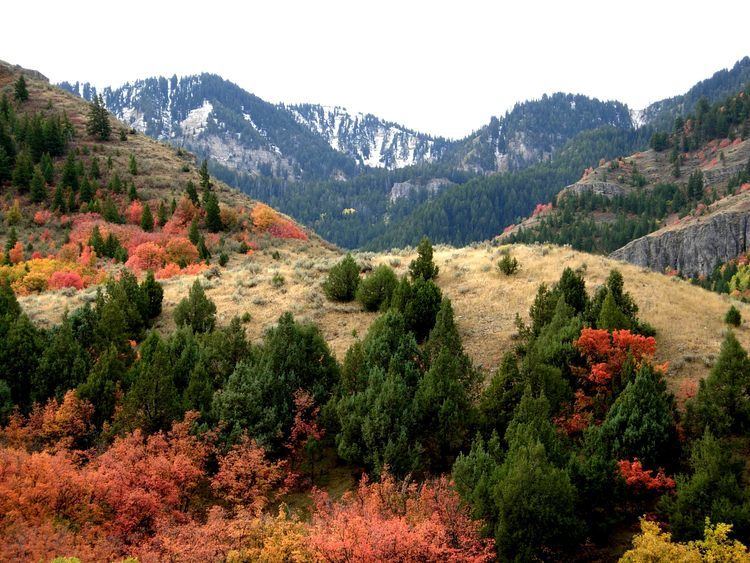 Logan Canyon Logan Canyon Photo Albums SummitPost