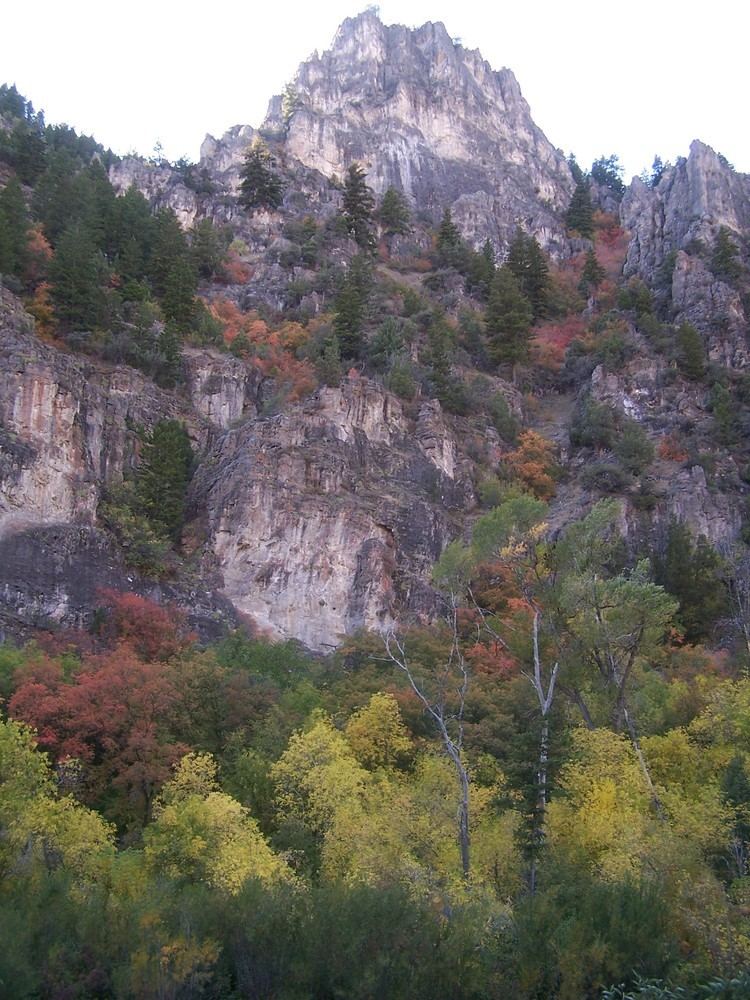 Logan Canyon Logan Canyon Wikipedia