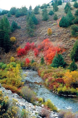 Logan River (Utah)
