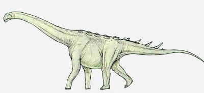 Lohuecotitan Species New to Science Paleontology 2016 Lohuecotitan