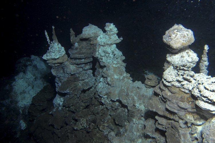 Lokiarchaeota Deepsea microbes called missing link for complex cellular life