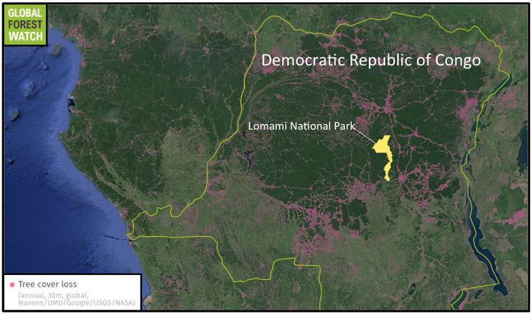 Lomami National Park DRC declares first new national park in 40 years