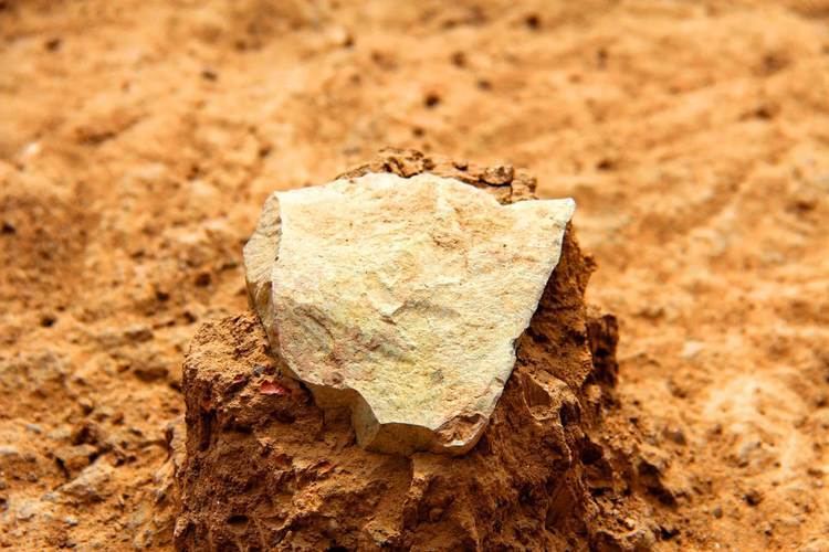 Lomekwi 33MillionYearOld Stone Tools Unearthed in Kenya Archaeology
